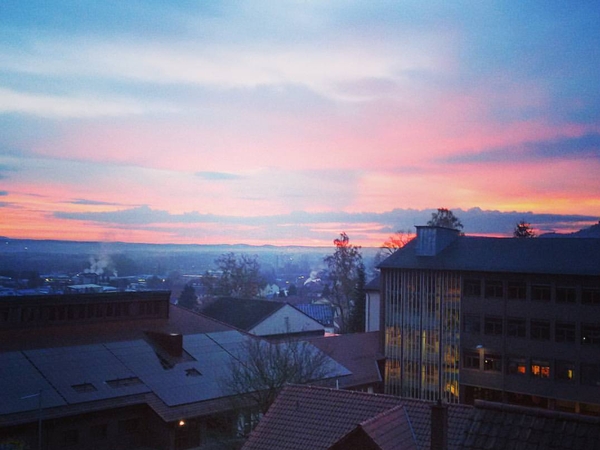 Housesitting assignment in Landstuhl, Germany