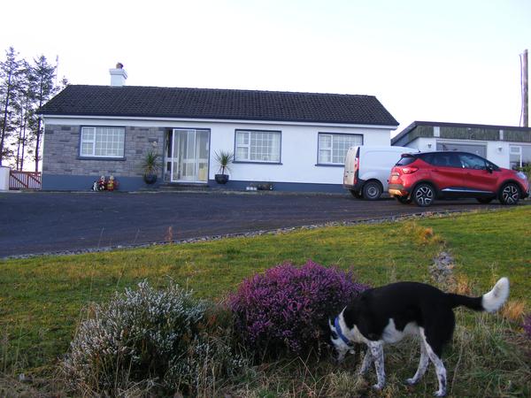 Housesitting assignment in Inagh, Ireland