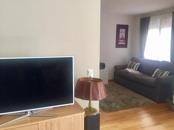 Housesitting assignment in Basel, Switzerland
