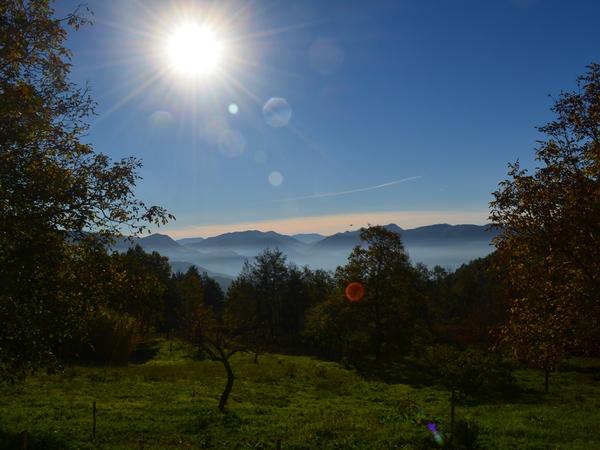 Housesitting assignment in Rivello, Italy