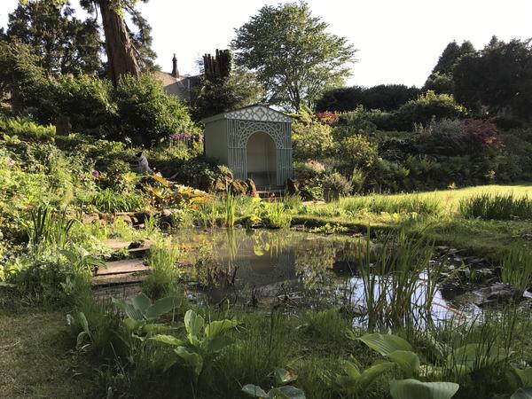 Housesitting assignment in Pateley Bridge, United Kingdom