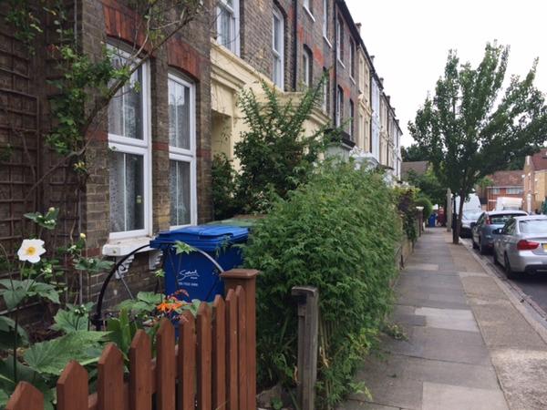 Housesitting assignment in East Dulwich, United Kingdom