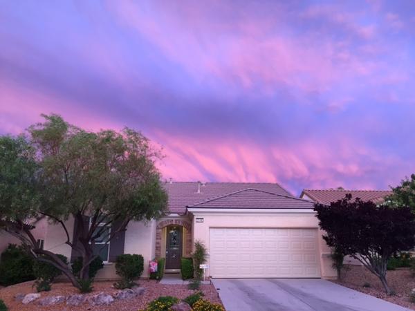 Housesitting assignment in Henderson, NV, United States