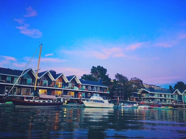 Housesitting assignment in Tiburon, California, United States