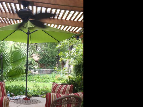 Housesitting assignment in San Antonio, TX, United States