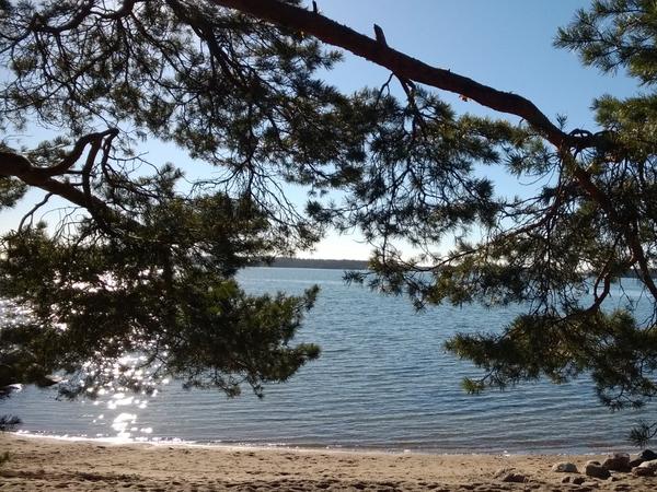 Housesitting assignment in Espoon Keskus, Finland
