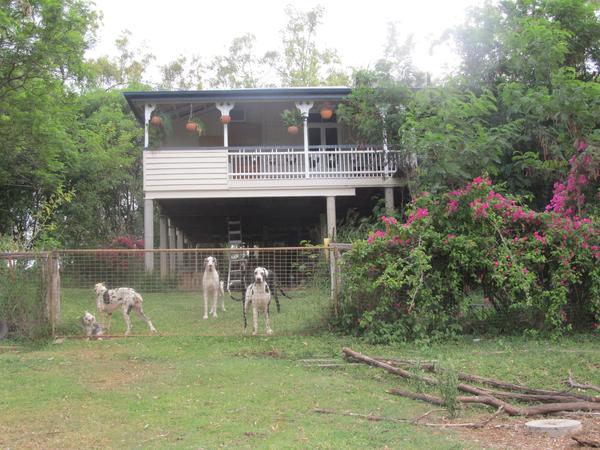Housesitting assignment in Gatton, QLD, Australia