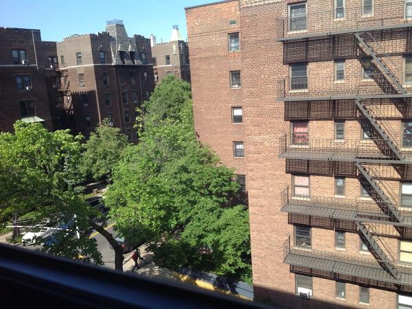 Housesitting assignment in Jackson Heights, NY, United States