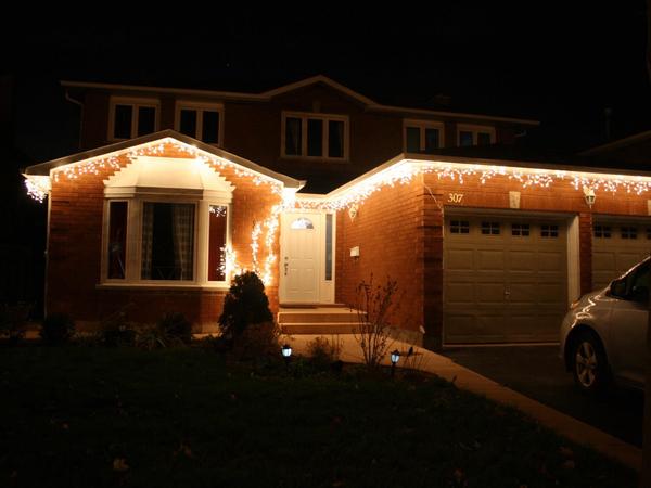 Housesitting assignment in Oakville, ON, Canada