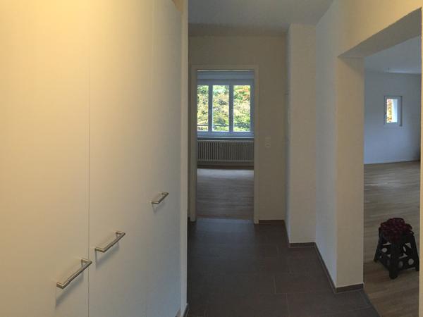 Housesitting assignment in Luzern, Switzerland