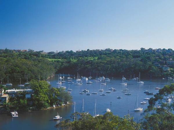 Housesitting assignment in Cremorne, New South Wales, Australia