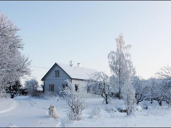 Housesitting assignment in Mikkeli, Finland