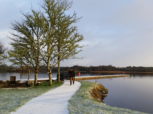 Housesitting assignment in Boyle, Ireland