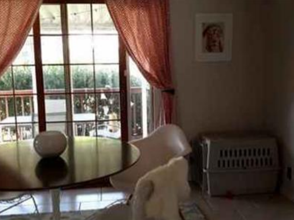 Housesitting assignment in Tulsa, OK, United States