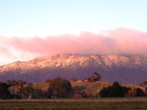 Housesitting assignment in Sheffield, Tasmania, Australia