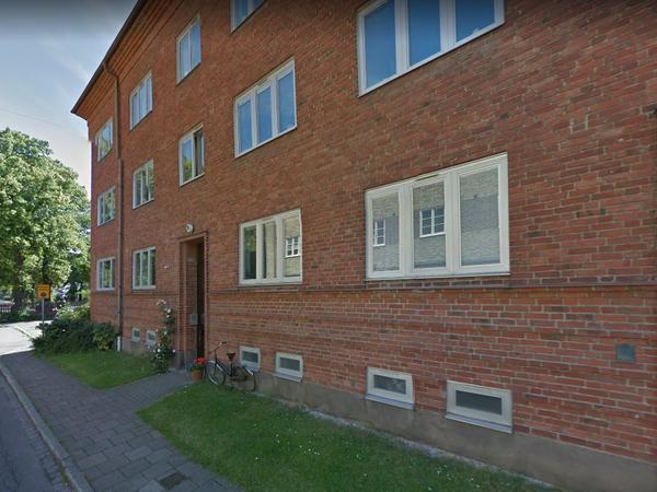 Housesitting assignment in Malmö, Sweden