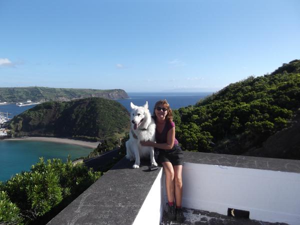 Housesitting assignment in Horta, Portugal