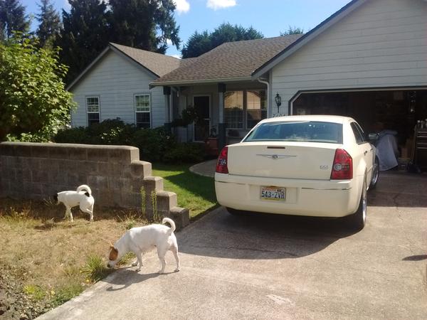 Housesitting assignment in Port Orchard, Washington, United States