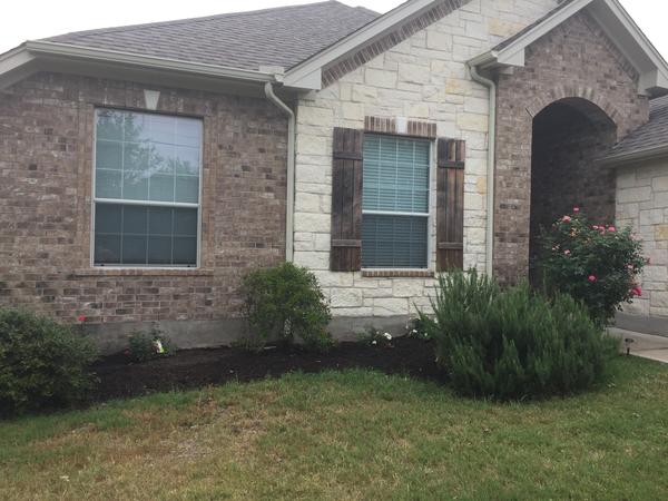 Housesitting assignment in Austin, Texas, United States