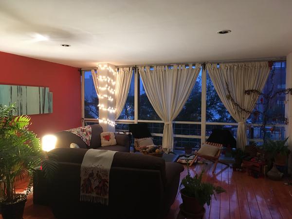 Housesitting assignment in Mexico City, Mexico