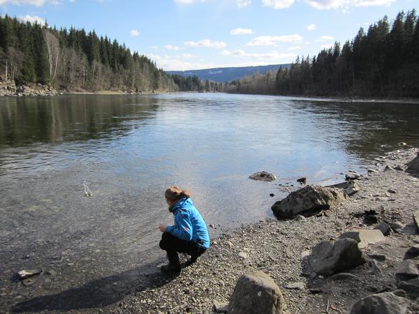 Housesitting assignment in Follebu, Norway