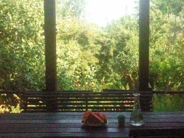 Housesitting assignment in Karlsruhe, Germany