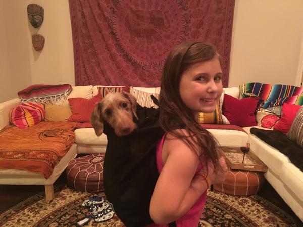 Housesitting assignment in Tyler, TX, United States