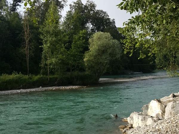 Housesitting assignment in Bremgarten, Switzerland