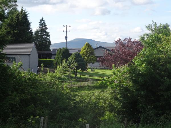 Housesitting assignment in Settle, United Kingdom