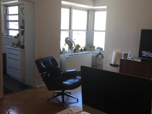 Housesitting assignment in New York City, New York, United States