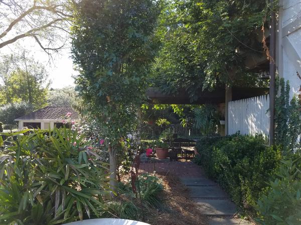 Housesitting assignment in Wilmington, Delaware, United States