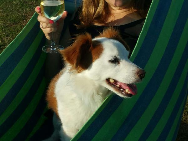 Housesitting assignment in Balwyn, VIC, Australia