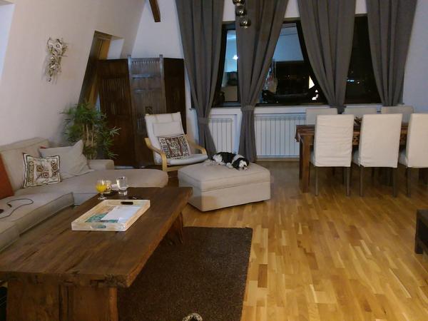 Housesitting assignment in Bucharest, Romania