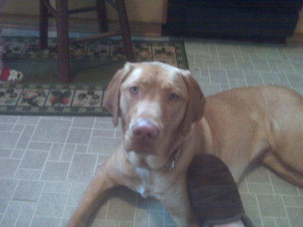 Housesitting assignment in Wautoma, Wisconsin, United States