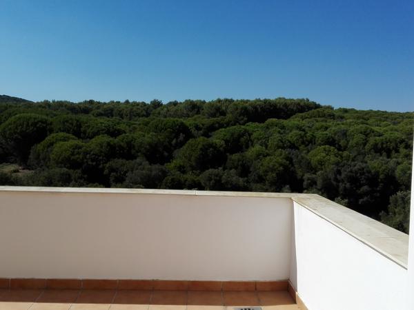 Housesitting assignment in Alcaidesa, Spain