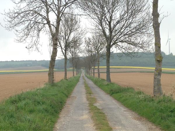 Housesitting assignment in Fruges, France