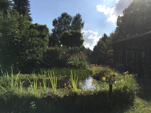 Housesitting assignment in Zutendaal, Belgium