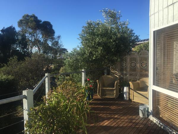 Housesitting assignment in Jan Juc, Victoria, Australia