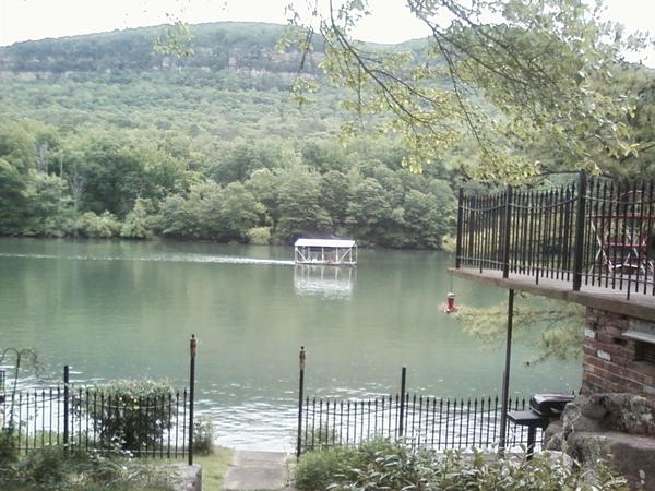 Housesitting assignment in Chattanooga, Tennessee, United States