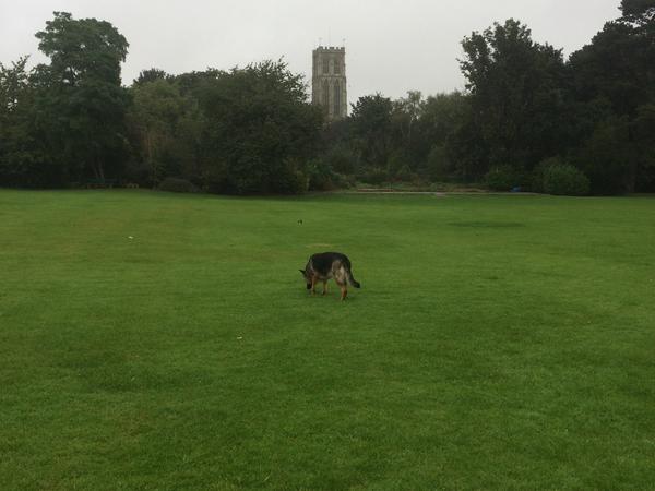 Housesitting assignment in Howden, United Kingdom