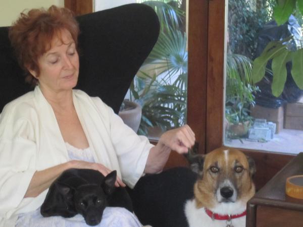 Housesitting assignment in San Miguel de Allende, Mexico