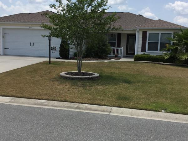Housesitting assignment in The Villages, FL, United States