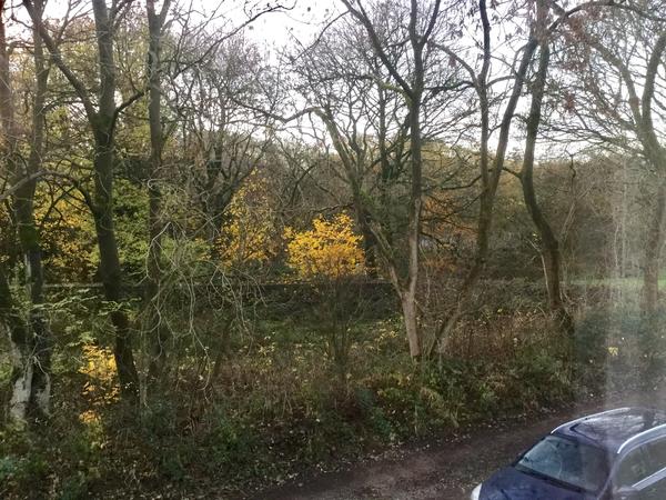 Housesitting assignment in Horwich, United Kingdom