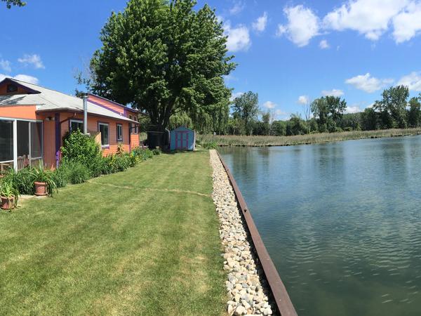 Housesitting assignment in Detroit, Michigan, United States