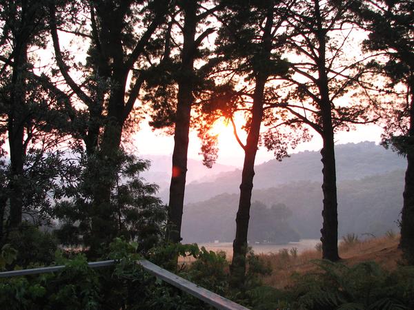 Housesitting assignment in Pakenham Upper, VIC, Australia