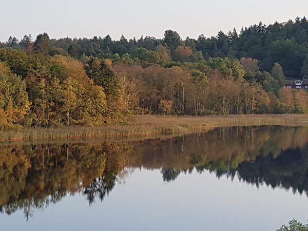 Housesitting assignment in Göteborg, Sweden