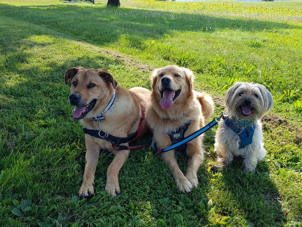 Housesitting assignment in Öhningen, Germany
