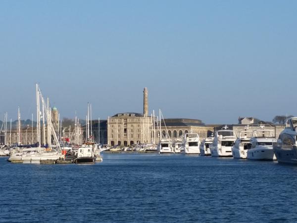 Housesitting assignment in Plymouth, United Kingdom