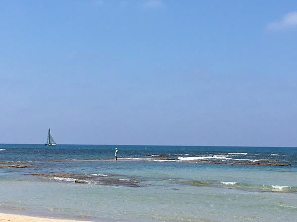 Housesitting assignment in Netanya, Israel