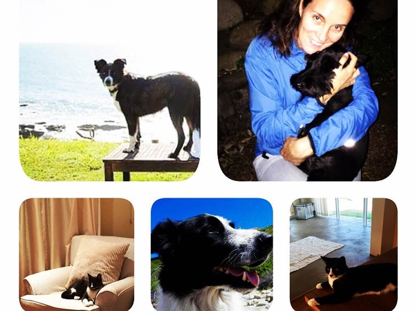 Judy from Stirling, United Kingdom
